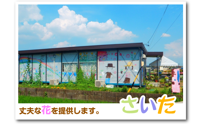 さいた