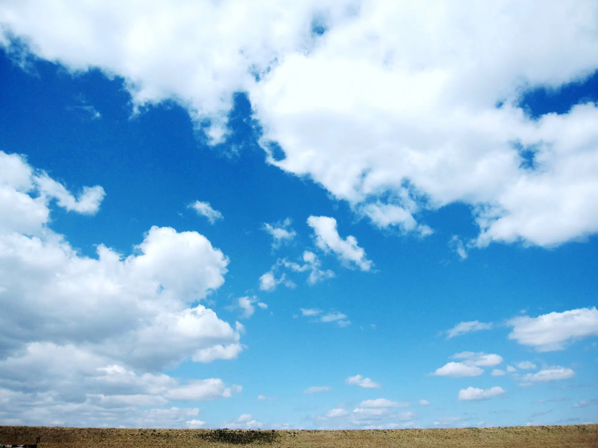 樫の木福祉会 1