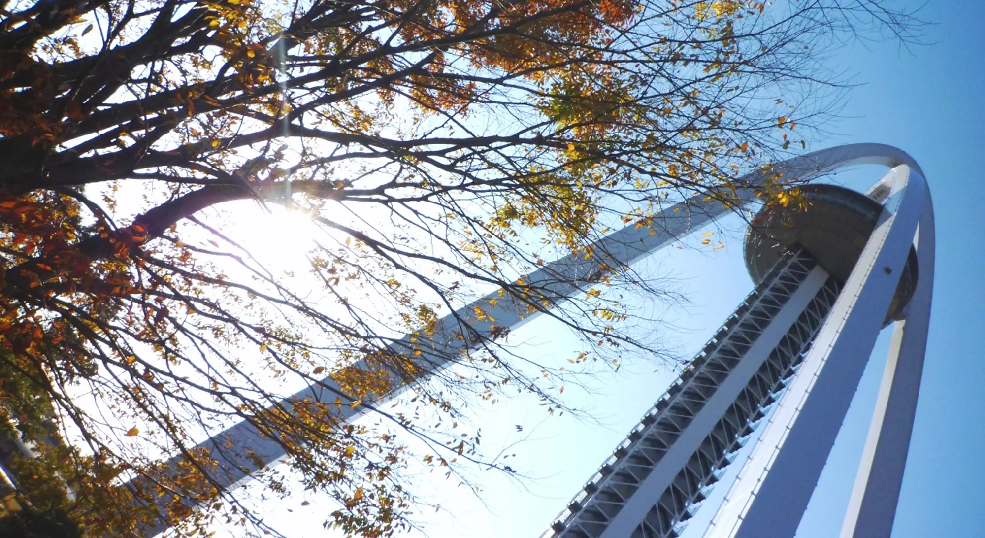 樫の木福祉会 2